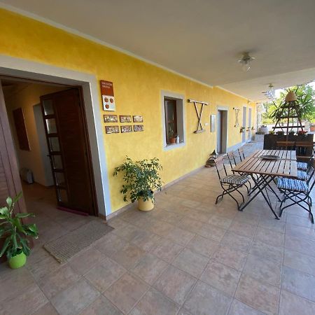 Med Oljkami Apartment 科佩尔 外观 照片